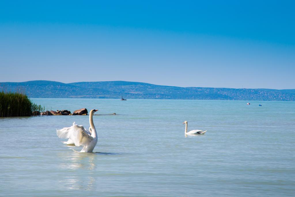 Apartamento Apartman Riva Siófok Habitación foto